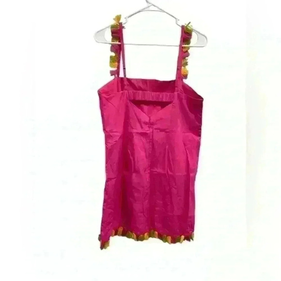 NWT Anthropologie The Hartley Shift Mini Dress Neon Pink with Tassels Size M - Picture 9 of 15